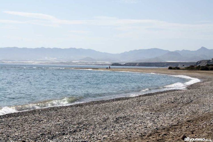 Playa de Las Moreras: donde el Mediterráneo se disfruta a cuatro patas