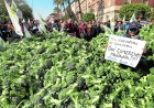 El campo se prepara para salir a la calle y el gasóleo también aprieta a los agricultores de Mazarrón