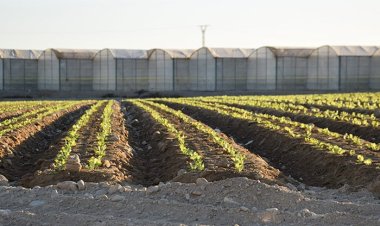 Los agricultores de Mazarrón podrán optar a las nuevas ayudas de 12 millones para el campo murciano