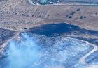 280 incendios y 1.443 hectáreas afectadas: así ha sido el balance del fuego en la Región