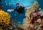 Mazarrón reivindica sus fondos marinos como uno de los grandes atractivos para el buceo en la Región