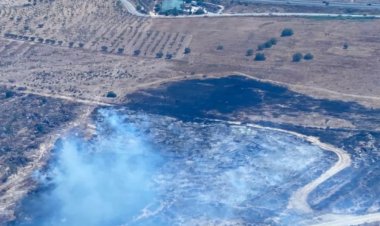 280 incendios y 1.443 hectáreas afectadas: así ha sido el balance del fuego en la Región