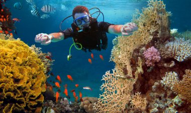 Mazarrón reivindica sus fondos marinos como uno de los grandes atractivos para el buceo en la Región