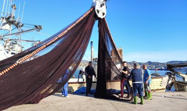 Cinco empresas presentan ofertas para ejecutar la renovación del varadero del puerto pesquero de Mazarrón